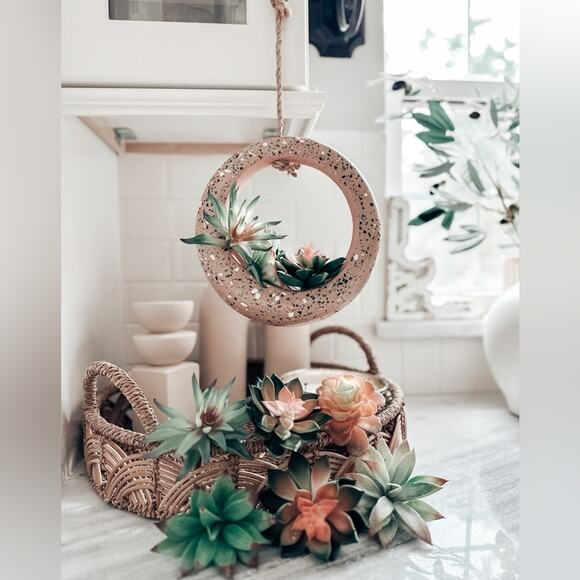 Jungalow lot succulents + terrazzo terracotta hanging circle planter boho home - Picture 1 of 8